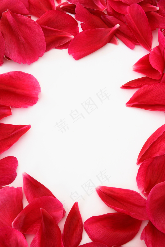 玫瑰花花瓣边框图片