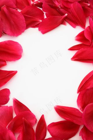 玫瑰花花瓣边框图片