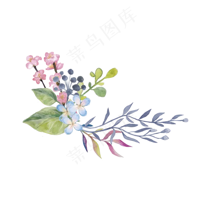 手绘花草花卉装饰