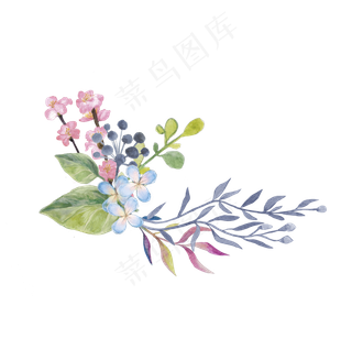 手绘花草花卉装饰