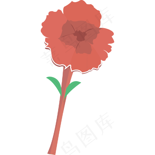 农业 康乃馨 环境 花 花园 绿色 自然 植物
