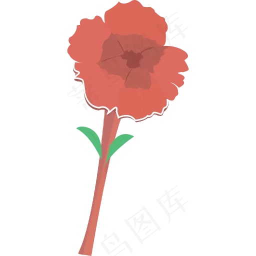 农业 康乃馨 环境 花 花园 绿色 自然 植物