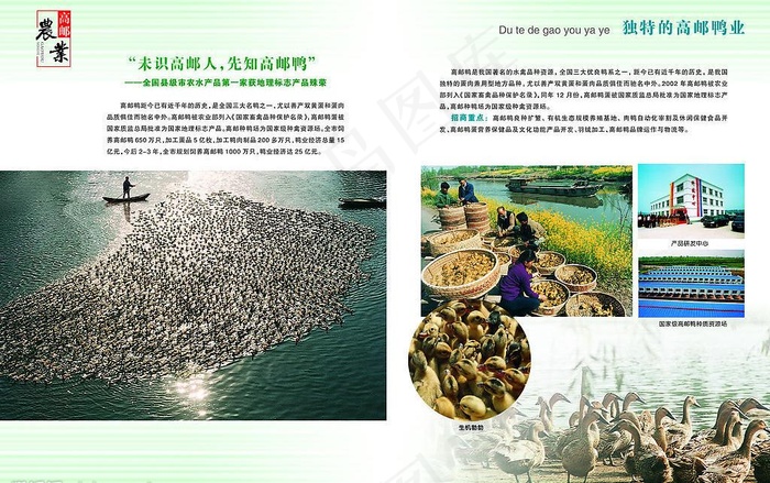 高邮农业招商中心招商手册图片