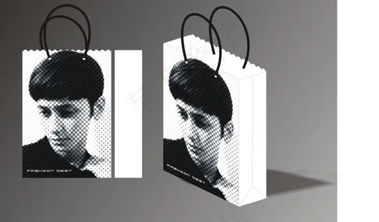 个性手提袋 （注照片合层）图片