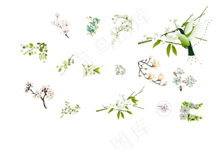 梨花节白色梨花纯洁梨花元素