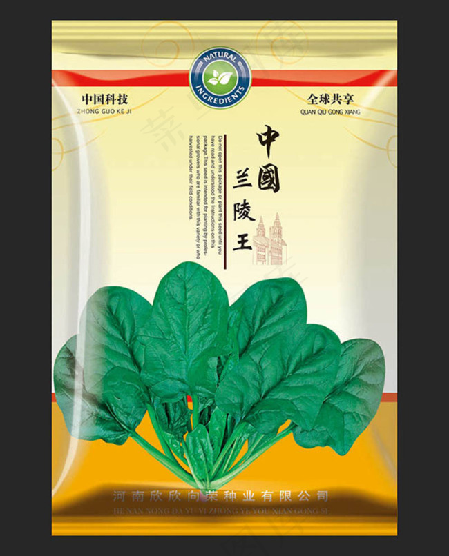 波菜种子包装设计psd模版下载