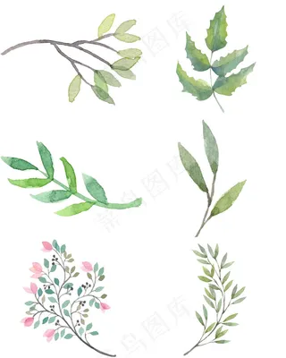 清新水彩叶子