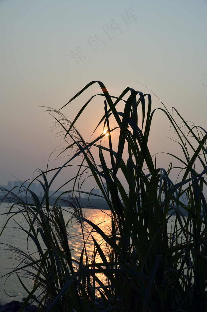 夕阳剪影图片