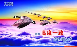 培育高度一致图片