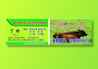 生态牛养殖场名片