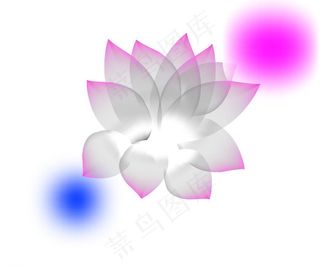 透明花 练习手稿图片