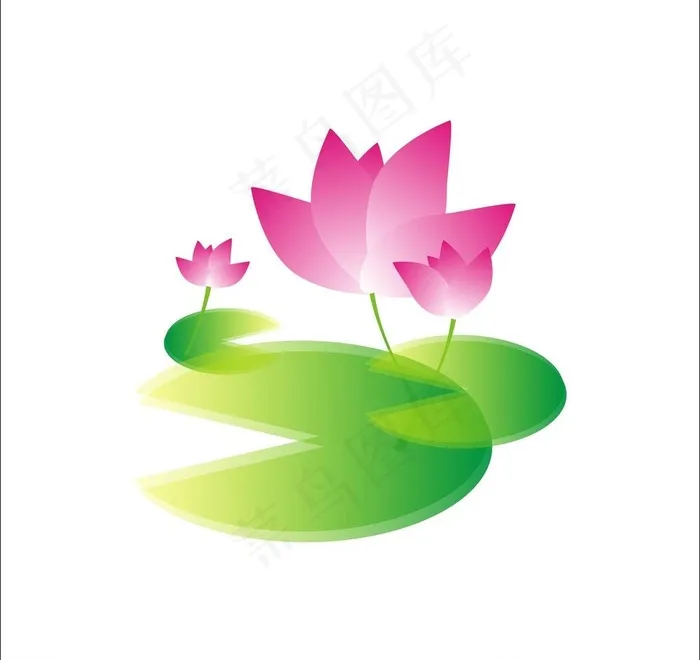 矢量荷花图片cdr矢量模版下载
