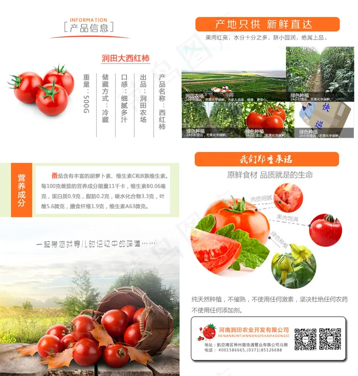 西红柿内页psd模版下载