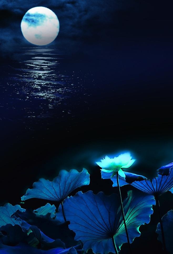 月夜蓝莲图片