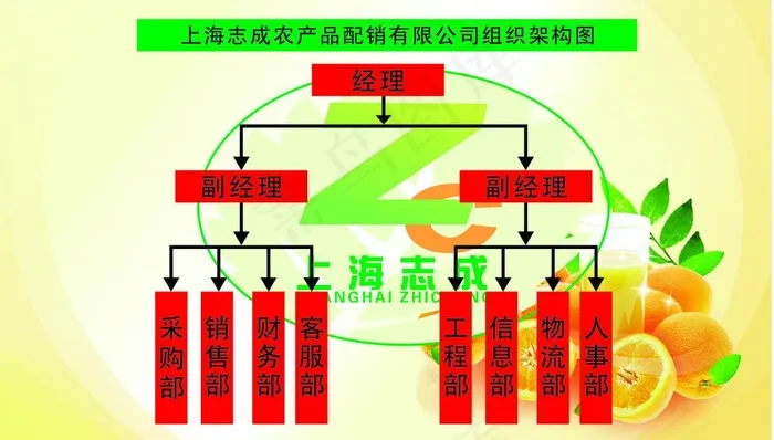 组织结构图图片cdr矢量模版下载