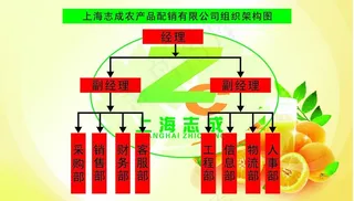 组织结构图图片