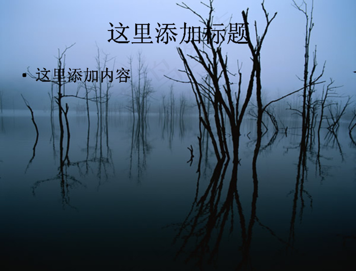 湖水树枝