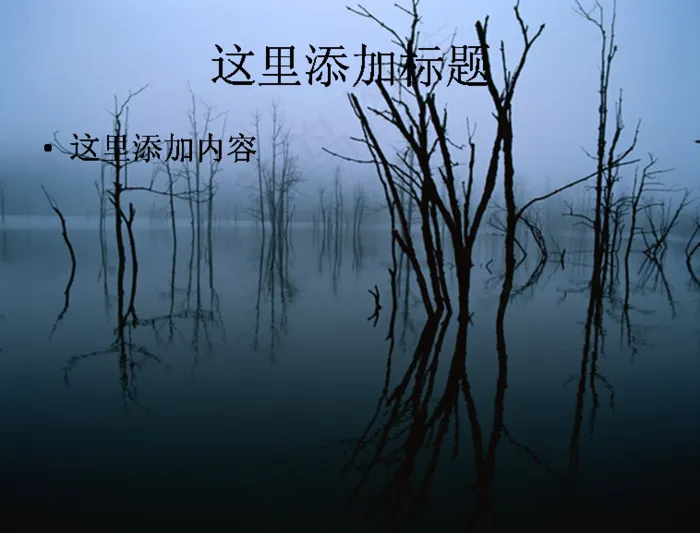 湖水树枝