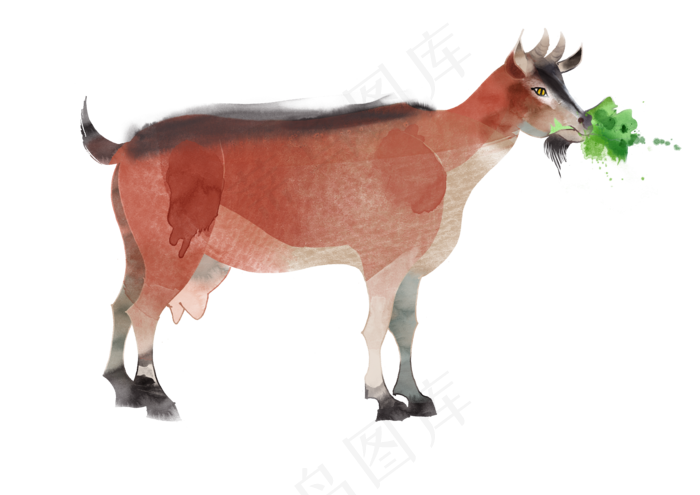 2017年水彩非洲动物免抠图设计素...