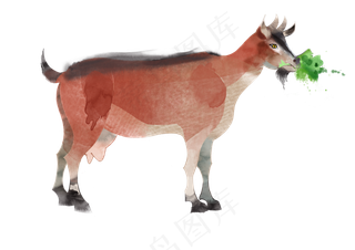 2017年水彩非洲动物免抠图设计素...