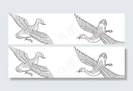 鸟 飞禽 动物 矢量 线