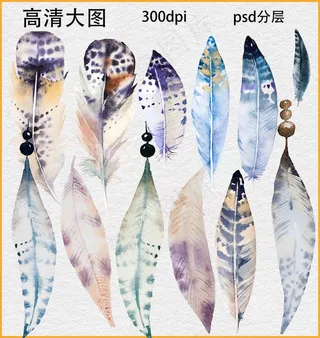 水彩羽毛