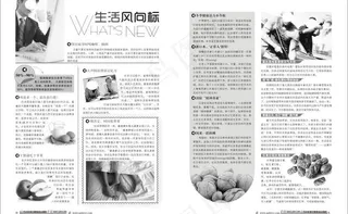 医疗杂志内页设计图片