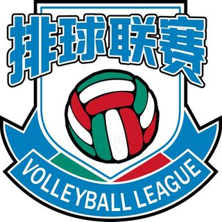 排球联赛运动徽章