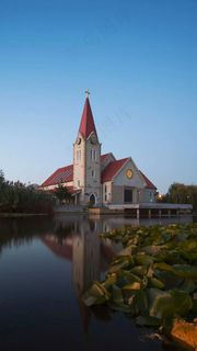 蓝色天空下的外国建筑钟楼与湖上的荷叶高清摄影图片