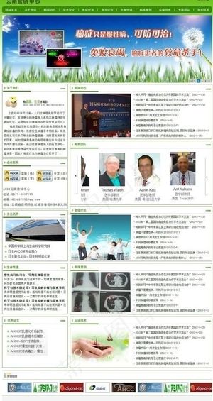 ahcc云南营销中心网站模版图片