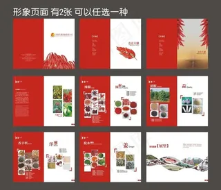 贸易企业画册设计矢量素材