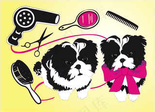 可爱的狗美容院