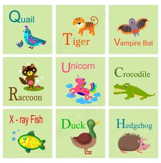 可爱的动物字母