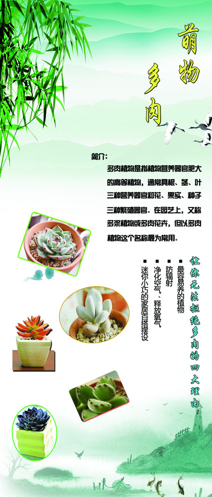 植物展架 萌物多肉图片(2268X5102(DPI:72))psd模版下载