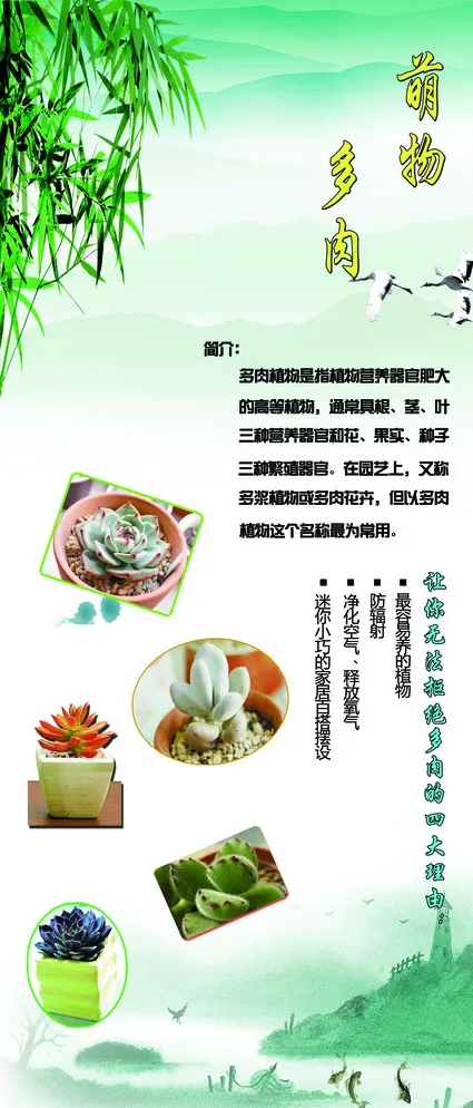 植物展架 萌物多肉图片(2268X5102(DPI:72))psd模版下载