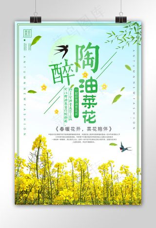 清新油菜花开春季春天出游海报