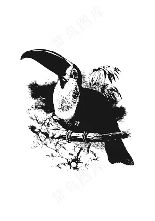 手绘卡通图案简笔插画鸟