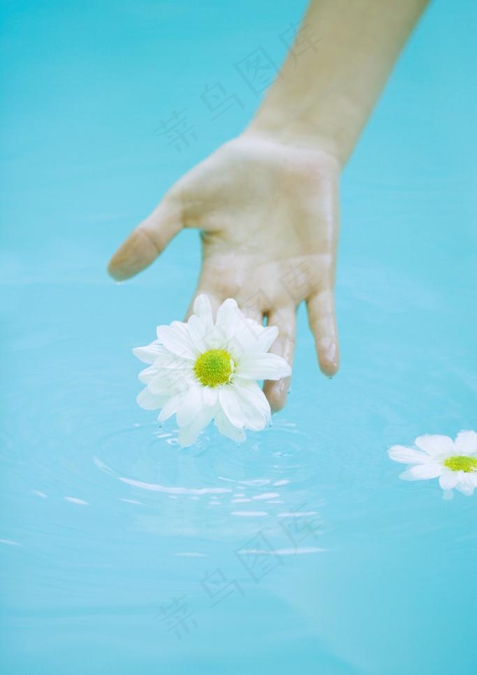 水中手托鲜花图片