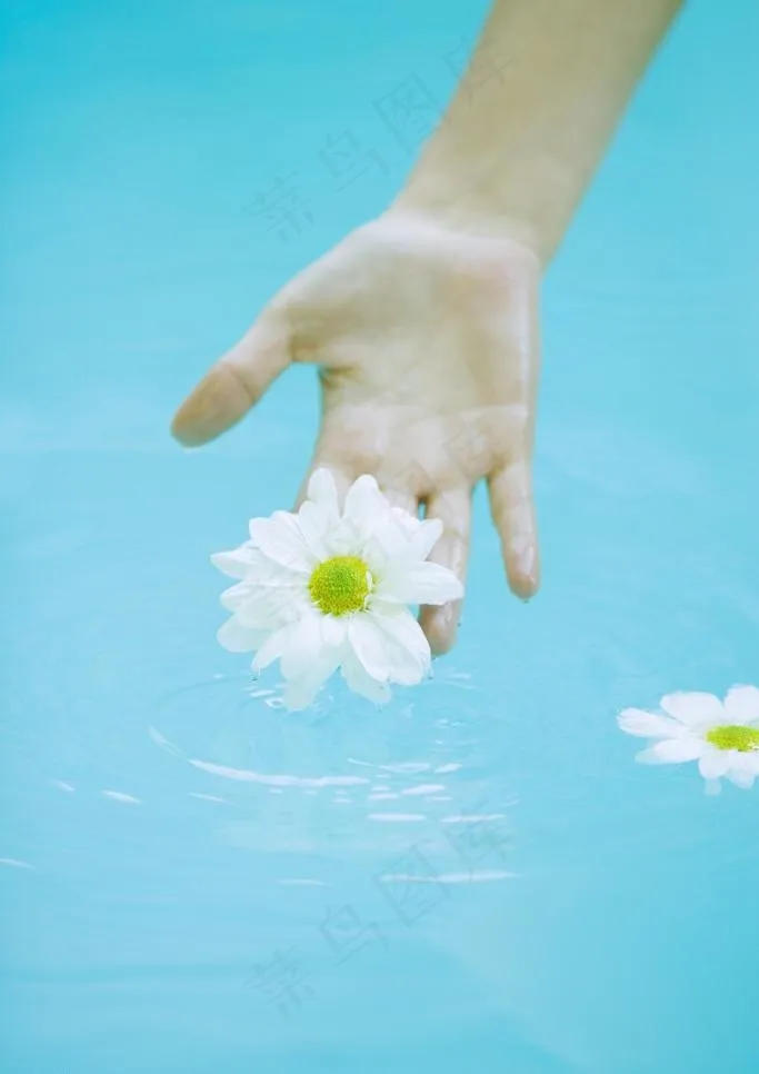 水中手托鲜花图片