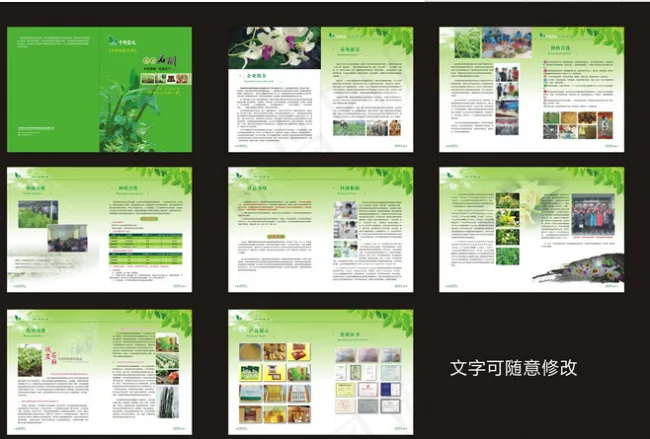 石斛产品手册(420X285)cdr矢量模版下载