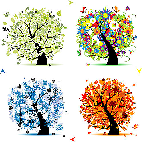 树木的四季变化