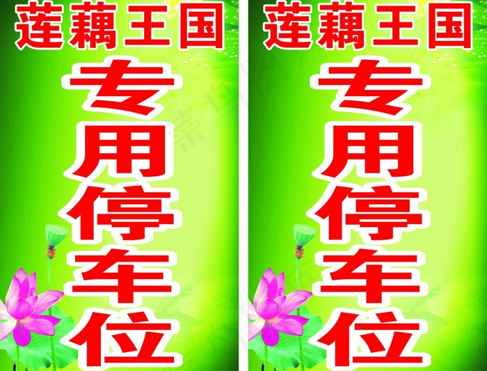 莲藕图片
