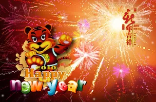 2010年虎年素材