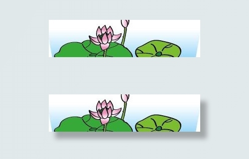莲藕图片