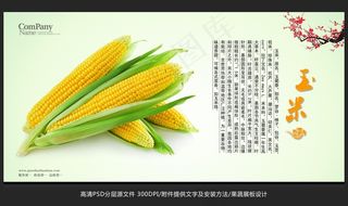 蔬菜展板设计玉米海报招贴广告设计