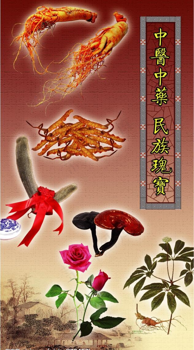 中医中药 民族瑰宝图片