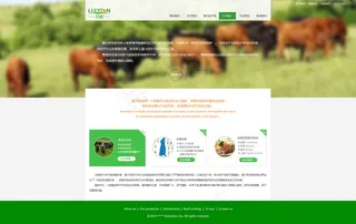 南京力敦国际贸易有限公司web