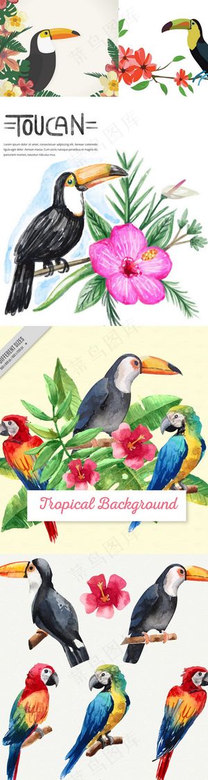 手绘卡通大嘴鸟EPS矢量素材