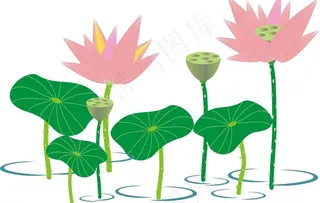 矢量荷花荷叶莲花莲蓬水纹图片
