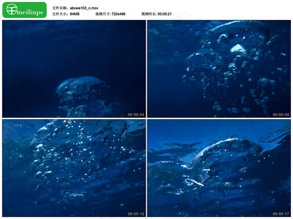 动态影视素材 海水实拍专辑03